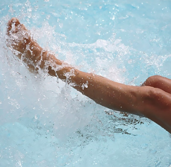 Ευρυαγγείες Ευρυαγγείες